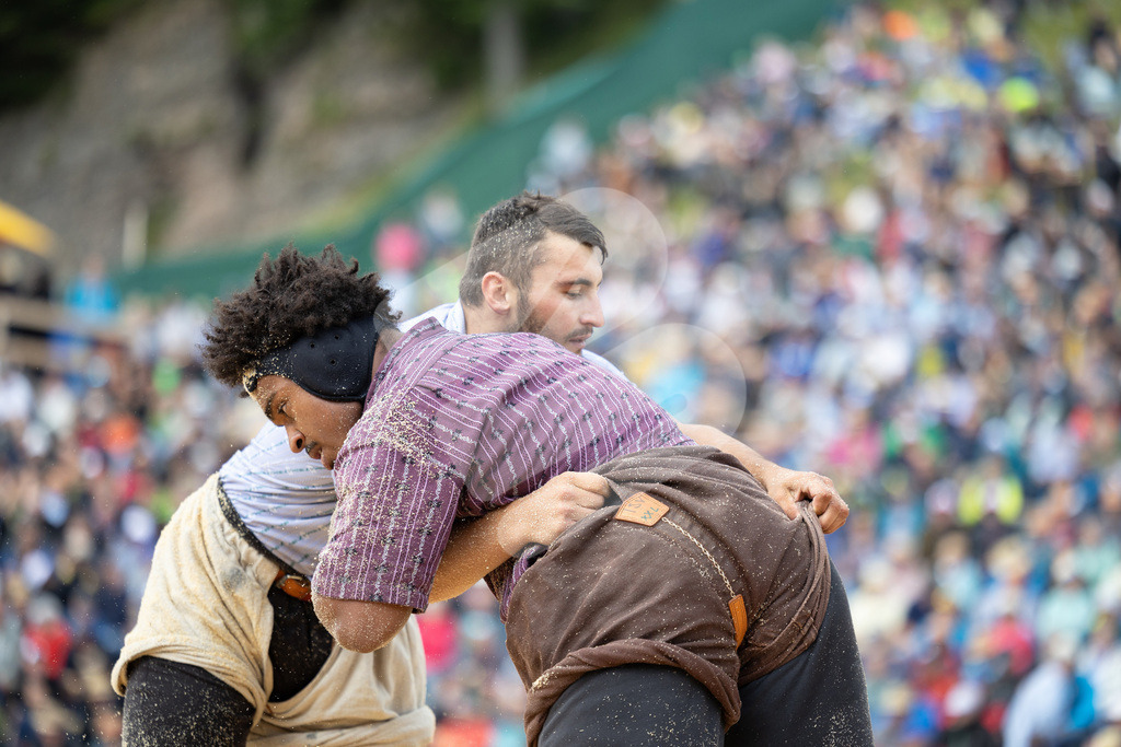 Rigi2025_0792 | Die Schwinger des Schwyzer Kantonalen Schwingerverbandes: Fotos, die Dynamik und Leidenschaft festhalten, sowie emotionale Momente aus dem traditionellen Schwingsport zeigen. - Realisiert mit Pictrs.com