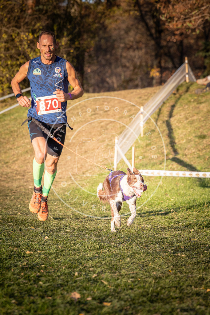 CaniXpix_0L8A1068 | Hundefotografie, Tierfotograf, Pfotenfotografie, Fotoshooting Hund, Hunde Portrait, Hundesport, Hundeportraits, Heideshooting, Hunde, Sportfotograf, Hundefotograf, Turnierhundsport, THS,  - Realisiert mit Pictrs.com