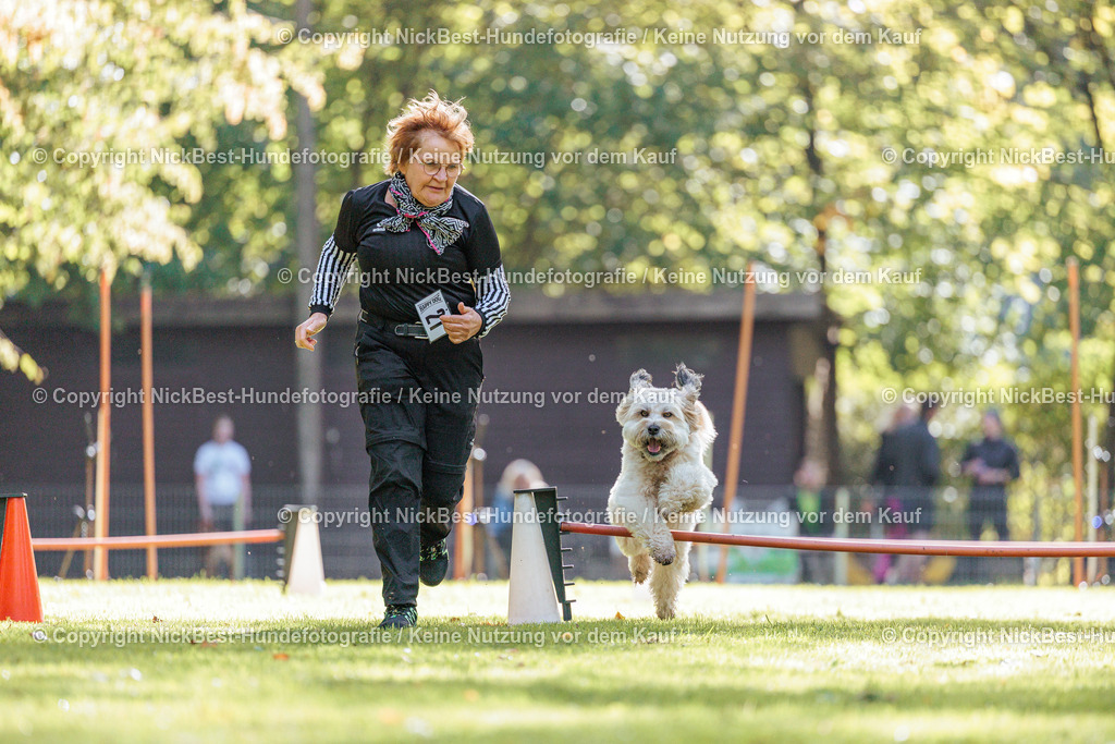 THS-HSV-Blumenthal-2026-Nickbest-Hundefotografie-3174 | Dein Hund! Dein Moment! Deine Erinnerungen! Hundefotografie in Bremen Blumenthal. Ich fange die besonderen Momente deines Vierbeiners ein – ob Indoor mit Blitzanlage oder in der freien Natur. Sicher dir dein Moment und dein Termin für eure Erinnerungen.