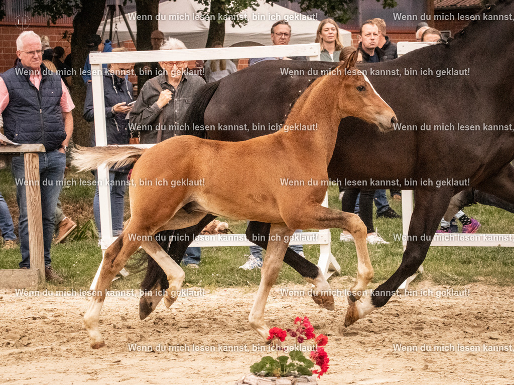 A10I1422 | photographylinaismer - Realisiert mit Pictrs.com