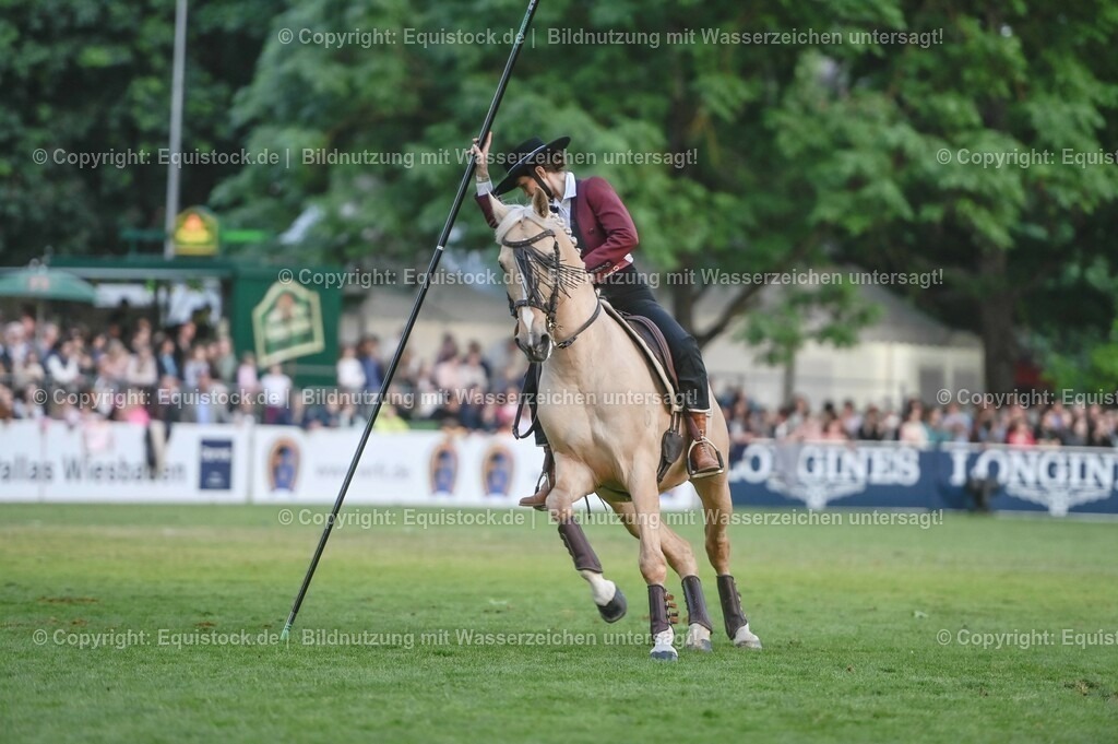 20230526_Pferdenacht_0692 | equistock