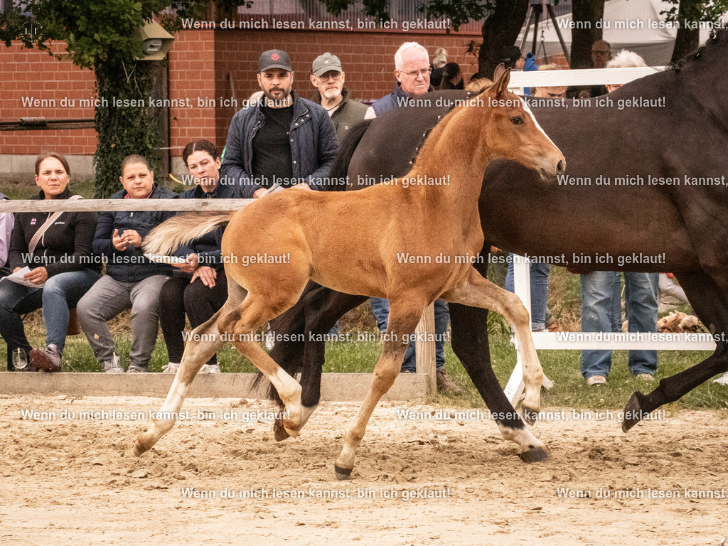 A10I1418 | photographylinaismer - Realisiert mit Pictrs.com