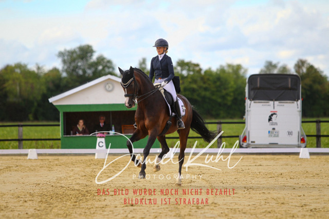 DKP44448 | Turniersportfotografie; Pferdefotografie; Dressurfotografie