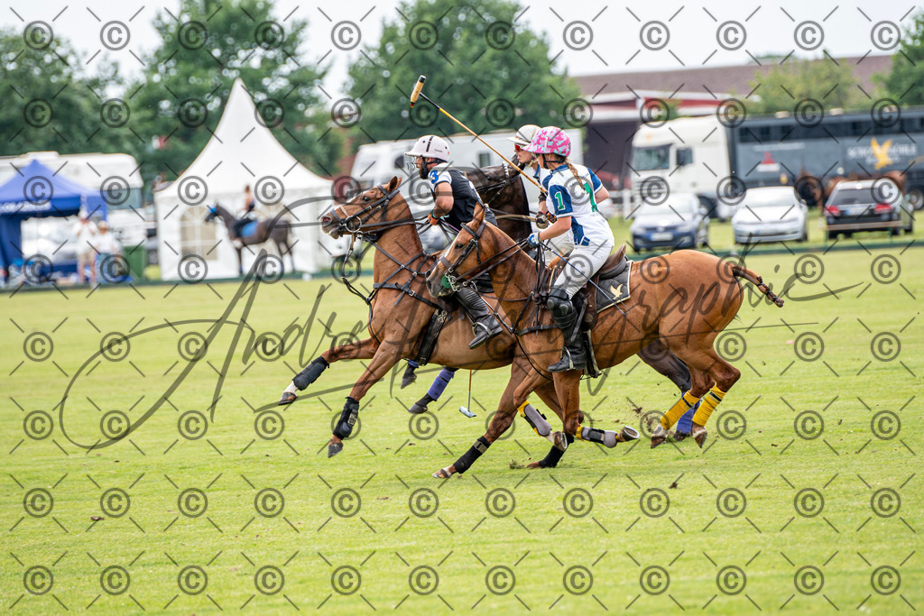 POL_3772 | andre_photographic