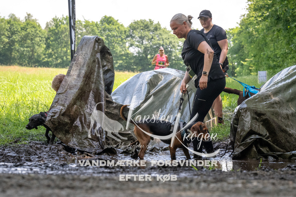 1159_ZZ90831 | kk-dogfotos