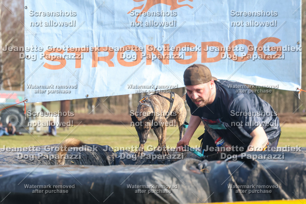 Dog Paparazzi - Strongdog North Mrz26-2329 | Dog Paparazzi Jeanette Grottendiek Fotografie & Videografie - Realisiert mit Pictrs.com