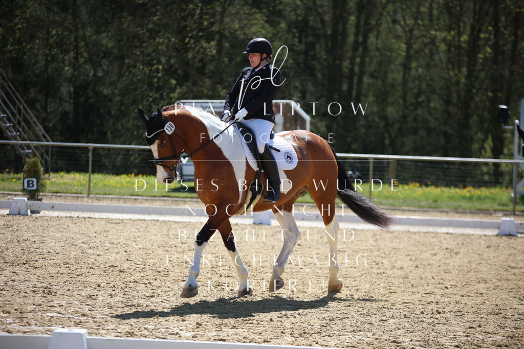 IMGT0964 | pl-fotografie