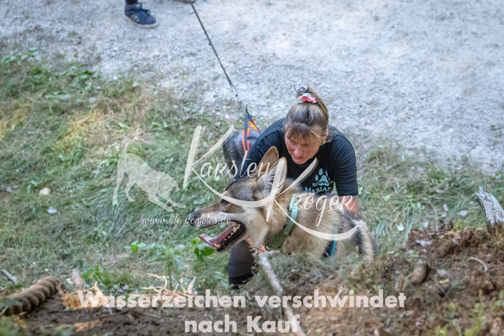 1138_ZZ91138 | kk-dogfotos