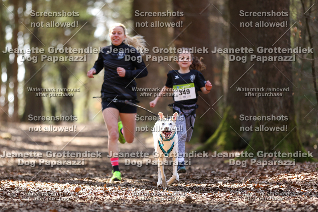Dog Paparazzi - VCC26-1444 | Dog Paparazzi Jeanette Grottendiek Fotografie & Videografie - Realisiert mit Pictrs.com