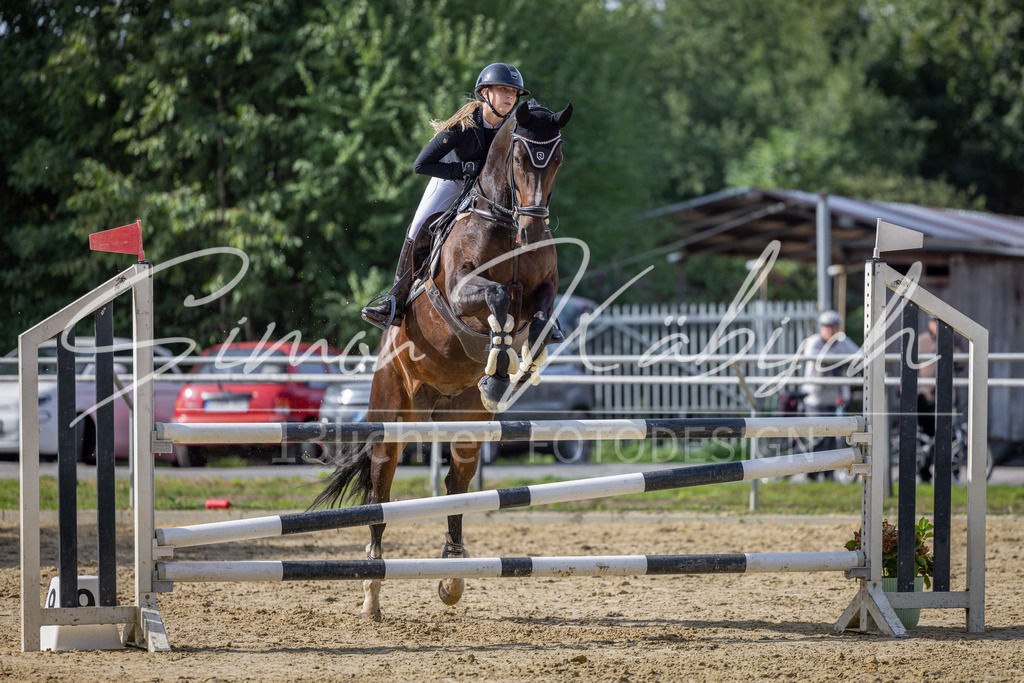 20260905-_3LI7467 | Tierfotografie Pferde, Hunde, Katzen, Haustiere.
Turnierfotografie Reitturniere, Reiten, Springreiten, Dressur in Hanau, dem Main-Kinzig-Kreis und dem Rhein-Main- Gebiet um Frankfurt