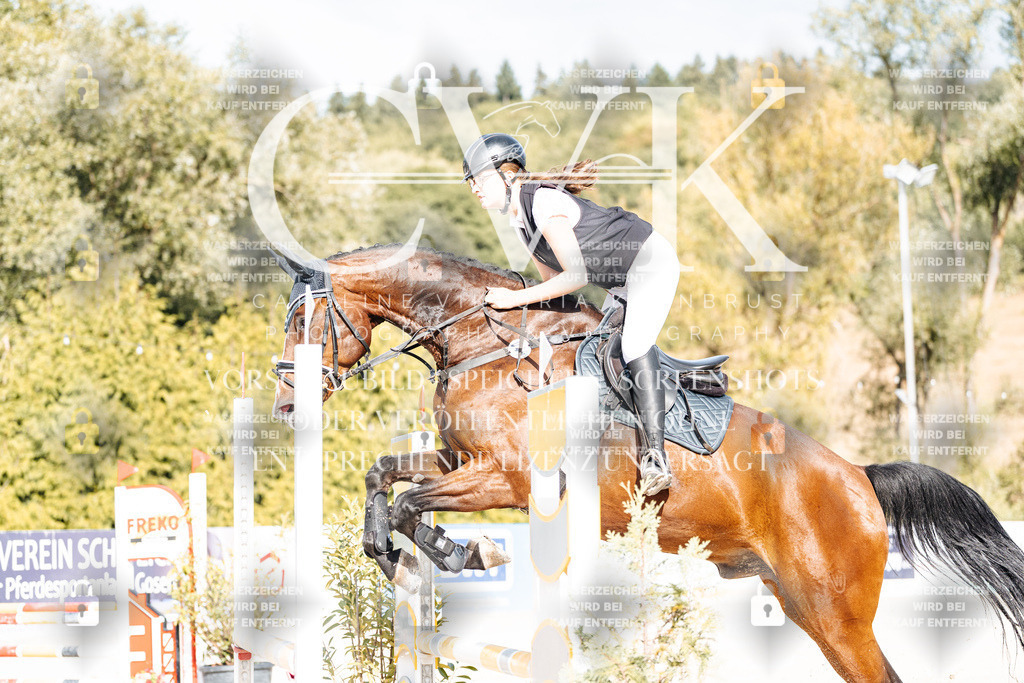 CK909137 | Turnierfotografie Pferdefotografie Trier Rheinland-Pfalz Pferdesport Reitsport Tierfotografie Sportfotografie Pferdevideo Pferdevideografie Equestrianvideography equestrianphotography  - Realisiert mit Pictrs.com