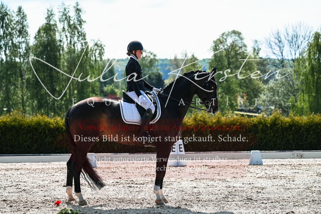 20230513_JK-Röhrsdorf-10-0372 | Pferde- und Turnierfotografie in Westsachsen. Pferdeportraits, Auftragszeichnungen und intuitive Kunst.
