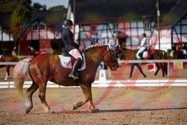 2026_10_03_Siefer-Hof_114135_Z63_22534509 | Professionelle Reitsport-, Turnier- und Eventfotografie von Robert Broda. Galerien mit ausgewählten und bearbeiteten Bildern direkt online ansehen und bestellen.