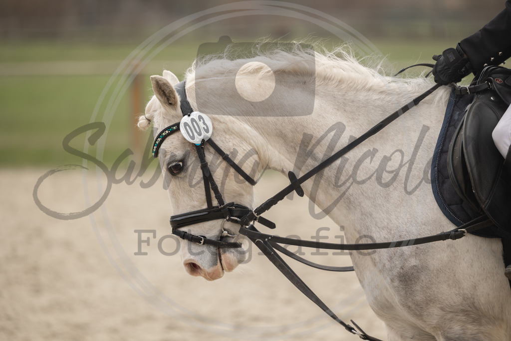994A8388 | sabrinanicolaifotografie - Realisiert mit Pictrs.com