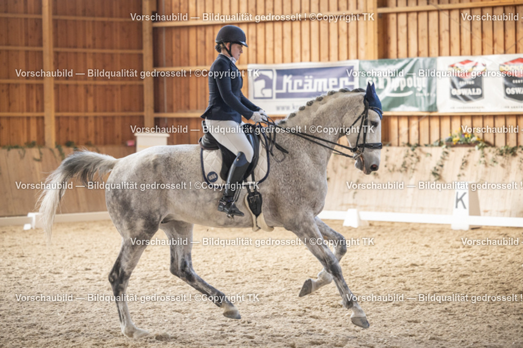 _D5A6179 | Emotionale Pferde- & People-Fotografie rund um Heidelberg, Leimen & Umgebung. Natürliche Fotos von Pferd, Mensch & Familie. Jetzt Termin sichern!