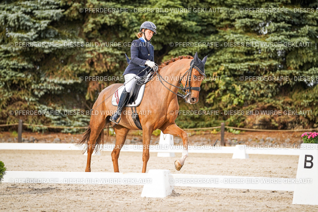 DSC08837 | Pferdegrafie