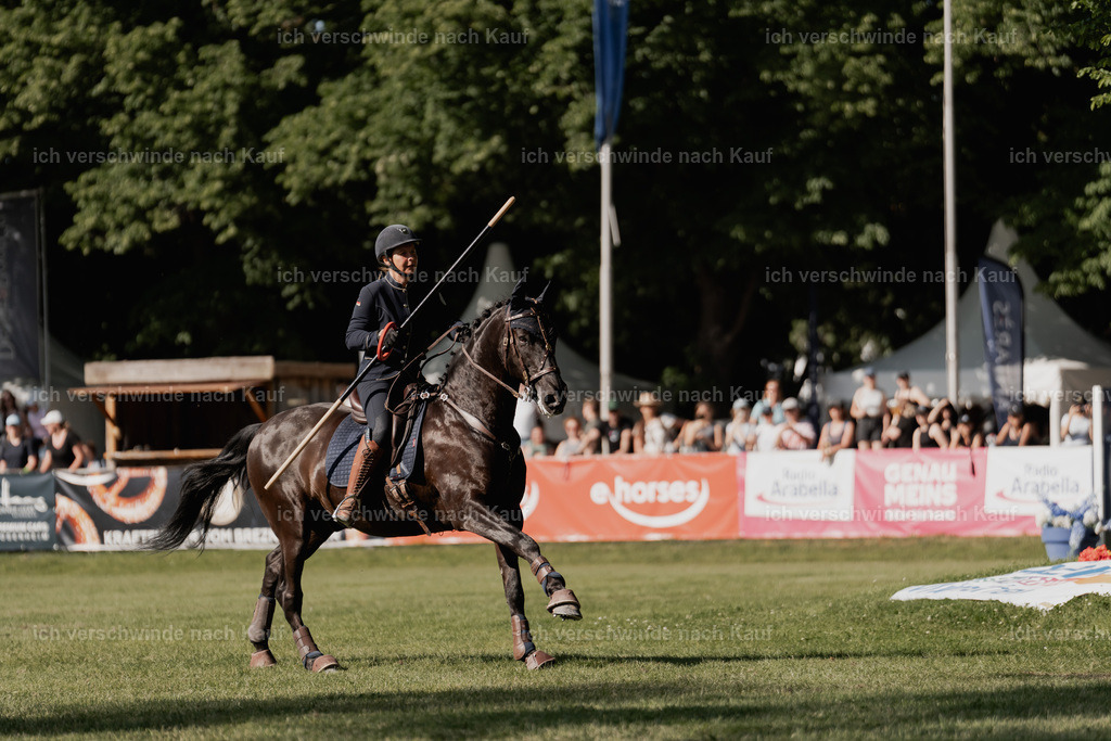 WE_MOS_Stoib_315_PI2025_2354 | Pferd International München 2025