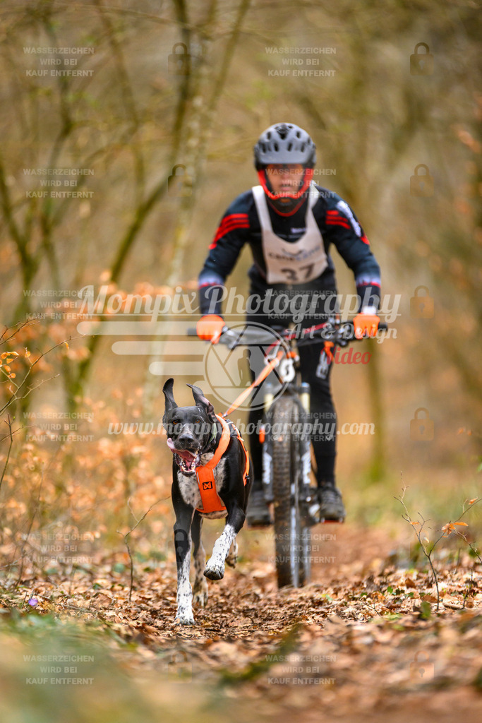 MompixPhotography_ReiatRennen2024_SO_Bike1H-41 | PayLife
