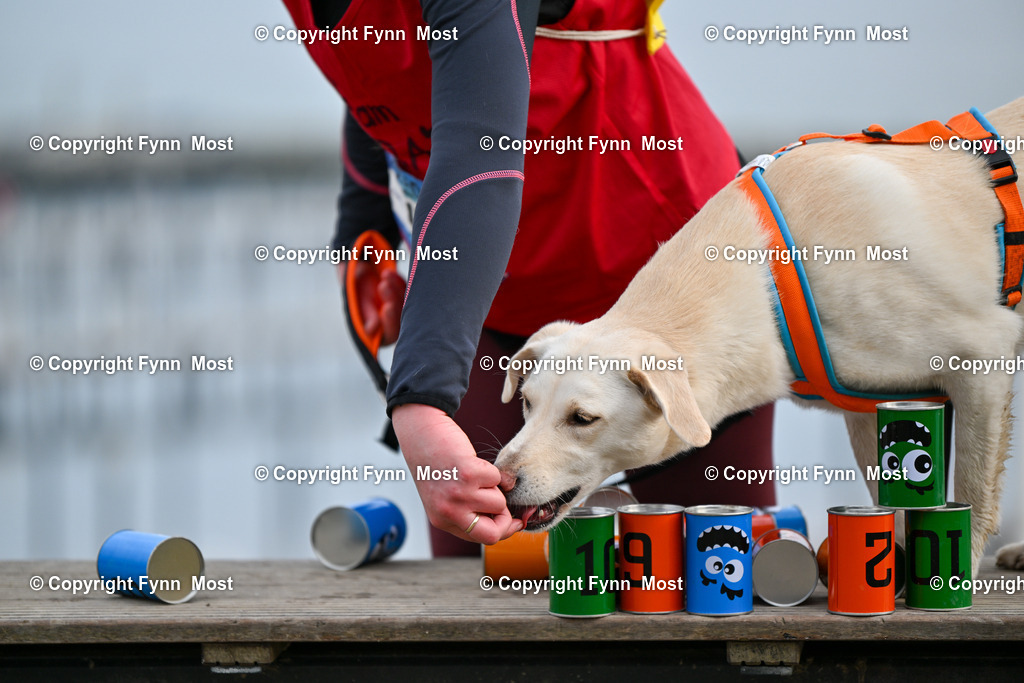 DSC_4356 | Hallo und herzlich Willkommen auf meiner Shop-Seite Fynn Most.

Ich wünsche Dir viel Spaß beim stöbern durch die Bilder, wenn Du Fragen hast oder Bilder vermisst, kannst du mir gerne eine Nachricht schreiben. - Realisiert mit Pictrs.com