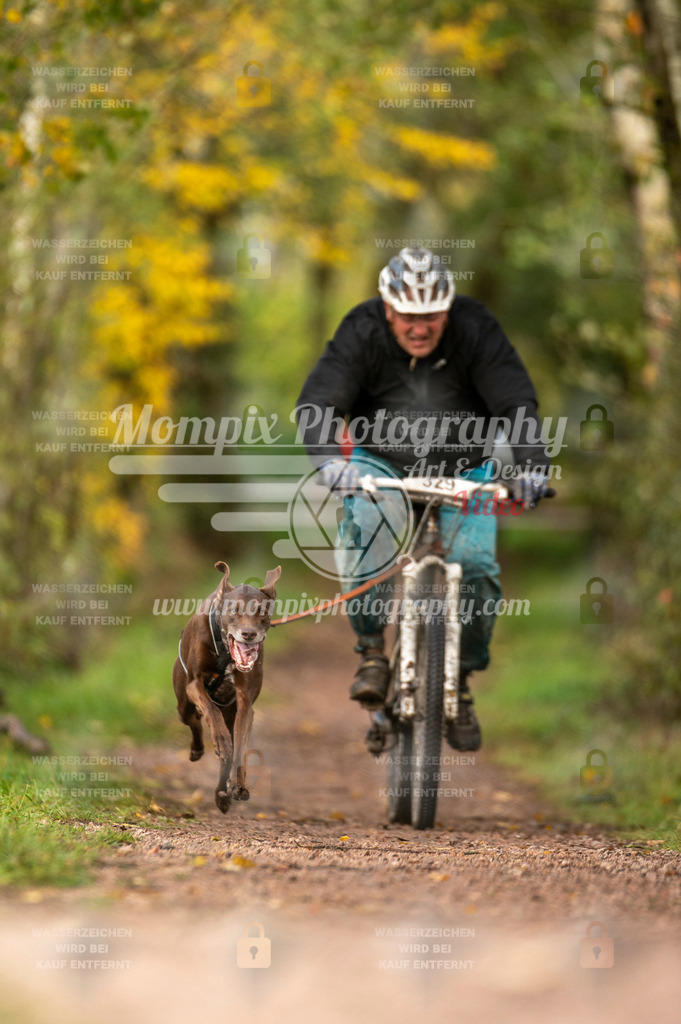 TSB_2023_E4_Bike-37 | PayLife