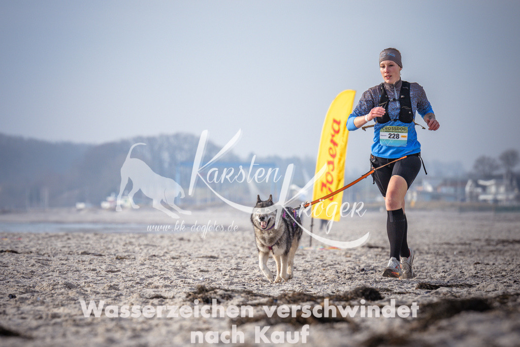1016_ZZ94481 | kk-dogfotos