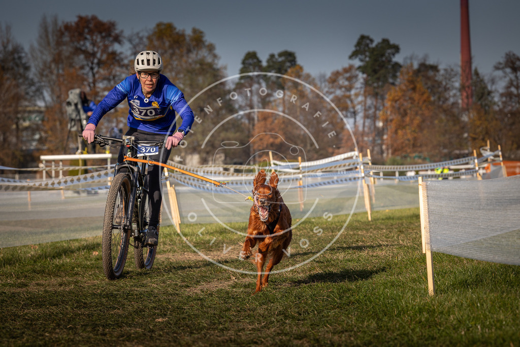 CaniXpix_0L8A7788 | Hundefotografie, Tierfotograf, Pfotenfotografie, Fotoshooting Hund, Hunde Portrait, Hundesport, Hundeportraits, Heideshooting, Hunde, Sportfotograf, Hundefotograf, Turnierhundsport, THS,  - Realisiert mit Pictrs.com