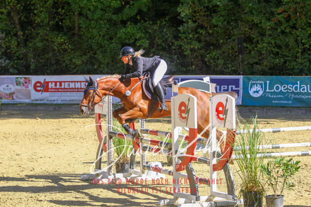 DKP43040 | Turniersportfotografie; Pferdefotografie; Dressurfotografie