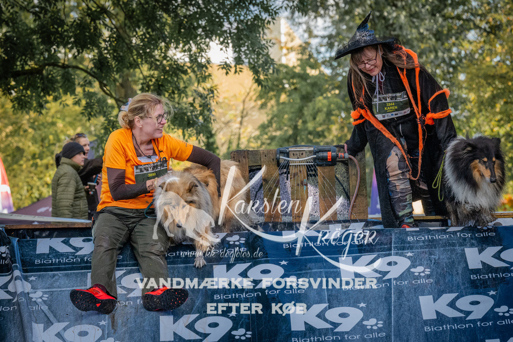 1557_ZZ91531 | kk-dogfotos