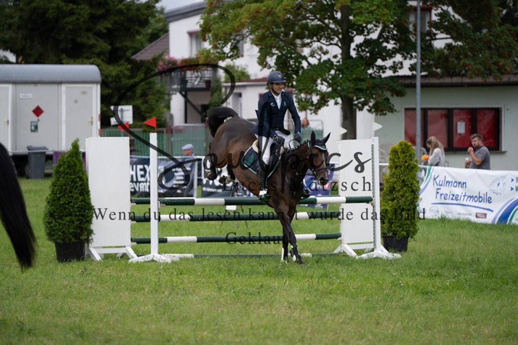 A7V03932 | Pferdefotograf