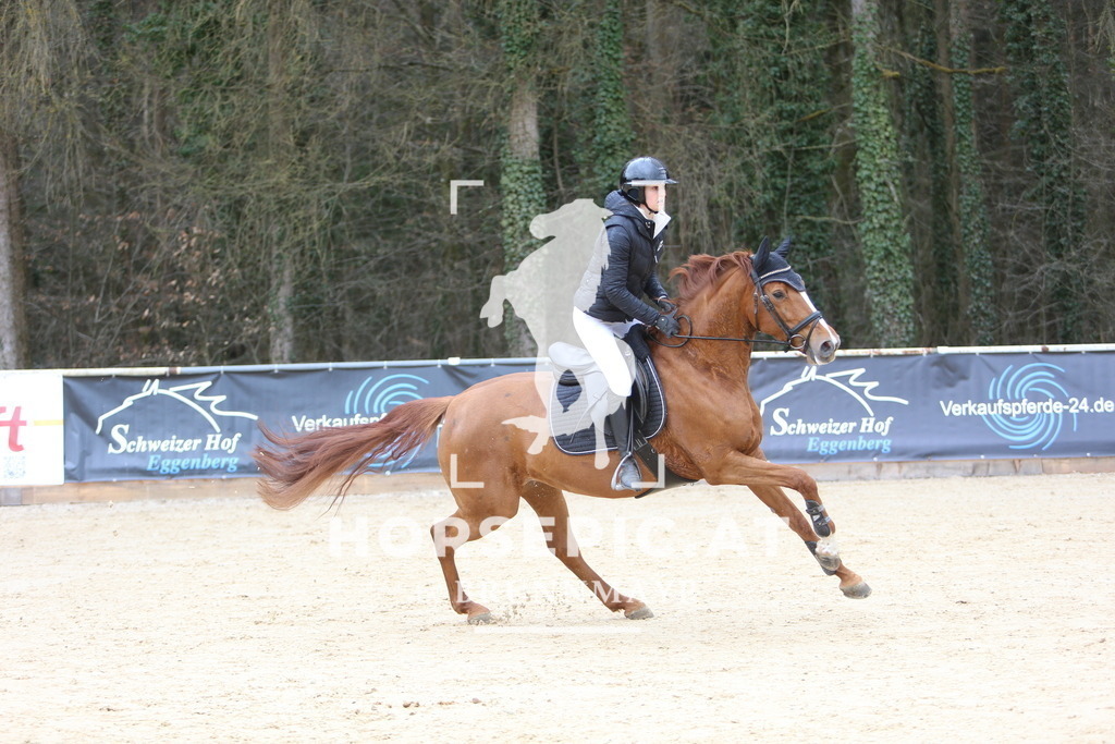 DL2Q5946 | Willkommen bei Brunnmayr - Design & Fotografie – Ihrem Spezialisten für Reitturniere und Pferdeveranstaltungen in Oberösterreich, Salzburg und Bayern! Seit über 17 Jahren sind wir leidenschaftlich dabei.
