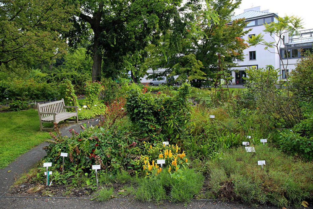 Bildlexikon Leipzig - Botanischer Garten der Universität Leipzig | Das Team hinter BILDLEXIKON LEIPZIG bündelt historische wie aktuelle Informationen über die Stadt Leipzig in Text und Bild auf einer Plattform und stellt diese der interessierten Öffentlichkeit zur Verfügung.
