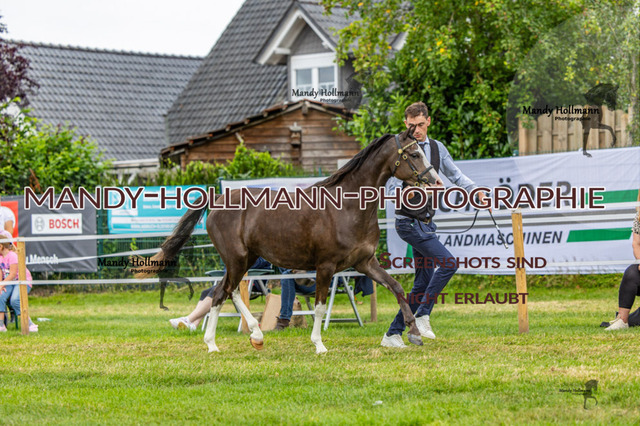 3_MG_3636 (1045) | mandyhollmannphotographie