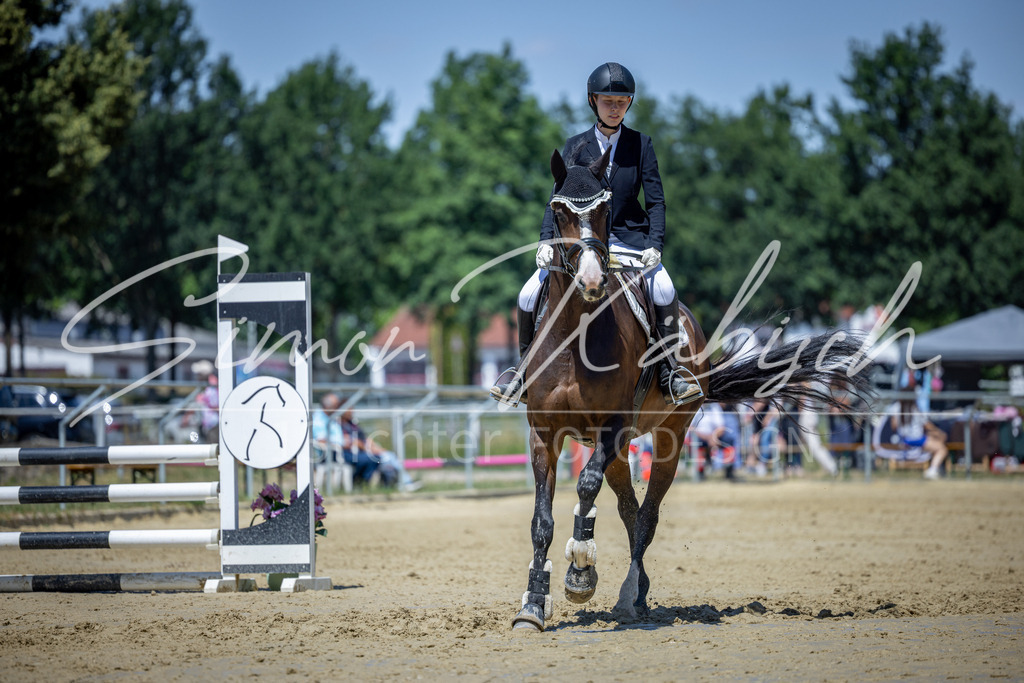 20260704-_3LI8355 | Tierfotografie Pferde, Hunde, Katzen, Haustiere.
Turnierfotografie Reitturniere, Reiten, Springreiten, Dressur in Hanau, dem Main-Kinzig-Kreis und dem Rhein-Main- Gebiet um Frankfurt