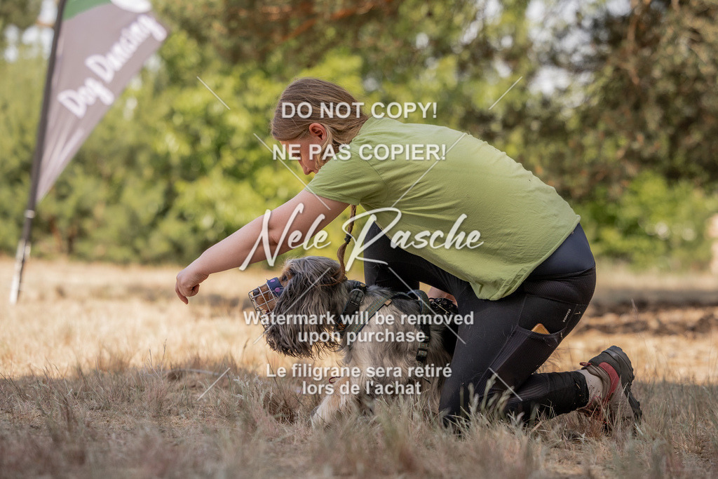 nelerasche_soDD2_351 | nelerasche