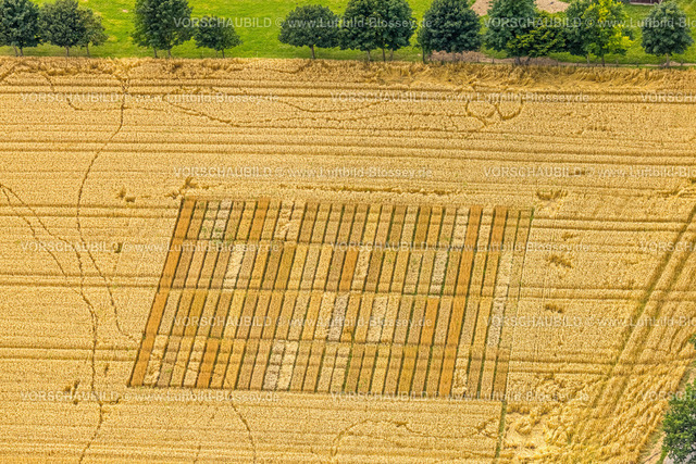 Warstein240713602Belecke | Luftbild, Spuren in der Landschaft, Muster in einem landwirtschaftlichen Feld am Haarweg, Belecke, Warstein, Sauerland, Nordrhein-Westfalen, Deutschland