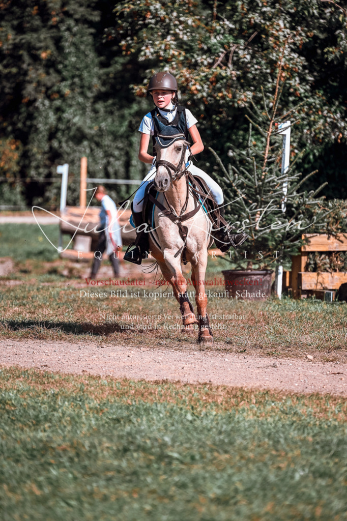 DSC_1070 | Pferde- und Turnierfotografie in Westsachsen. Pferdeportraits, Auftragszeichnungen und intuitive Kunst.