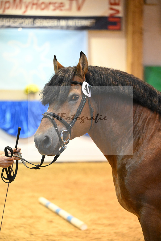 Kat-Nr. 40 Eulenspiegel_Fassbender_53221229 | hf-fotografie - Realizzato con Pictrs.com