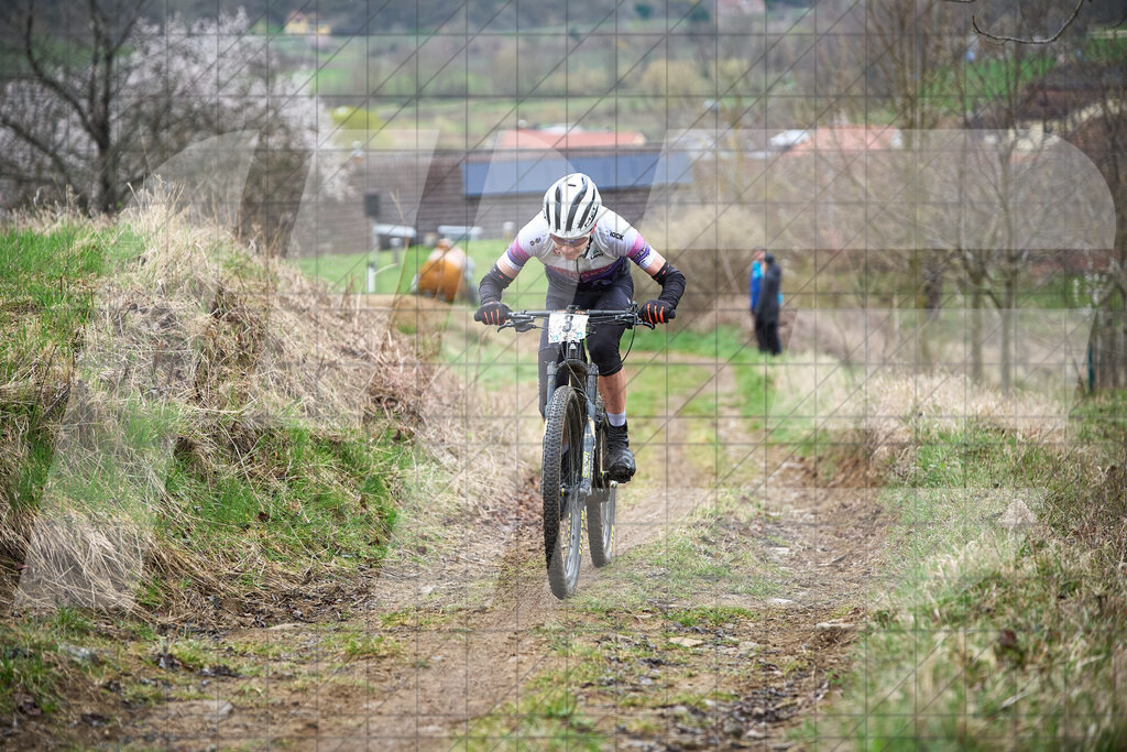 34. KTM Kamptal Trophy  | ZÖBING, Österreich – 2026-03-29: 34. KTM Kamptal TrophyFoto: © 2026 Martin Bihounek - MB Creative e.U.