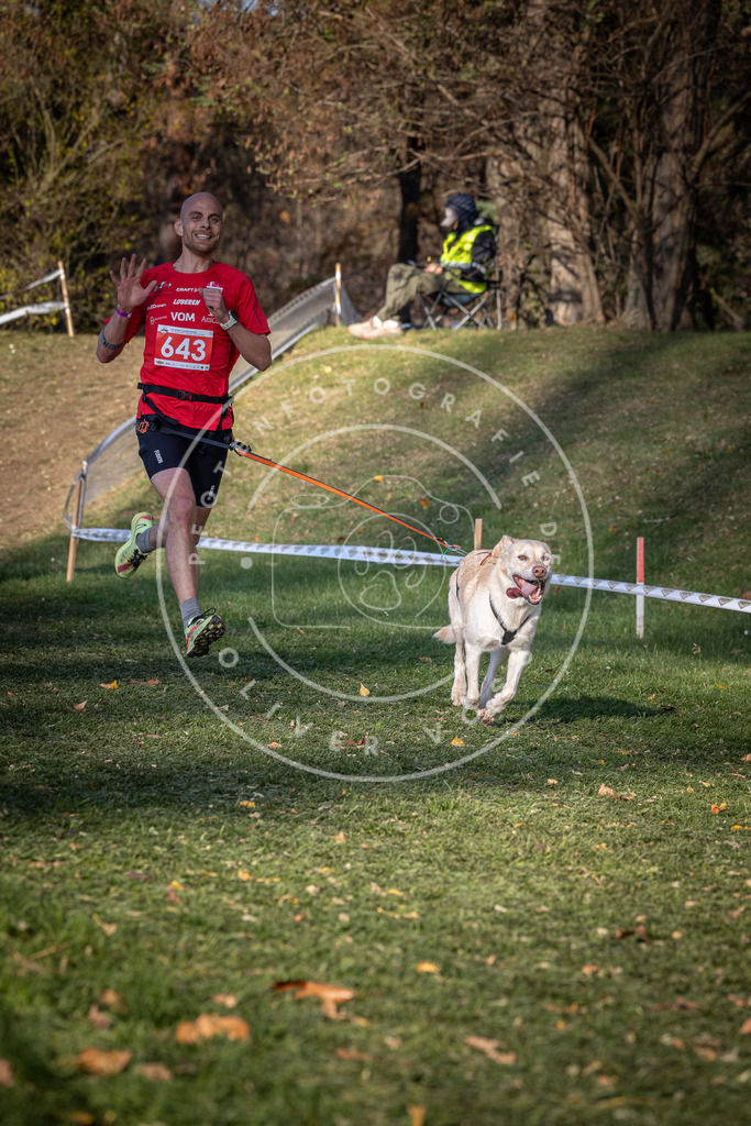 CaniXpix_0L8A9063 | Hundefotografie, Tierfotograf, Pfotenfotografie, Fotoshooting Hund, Hunde Portrait, Hundesport, Hundeportraits, Heideshooting, Hunde, Sportfotograf, Hundefotograf, Turnierhundsport, THS,  - Realisiert mit Pictrs.com