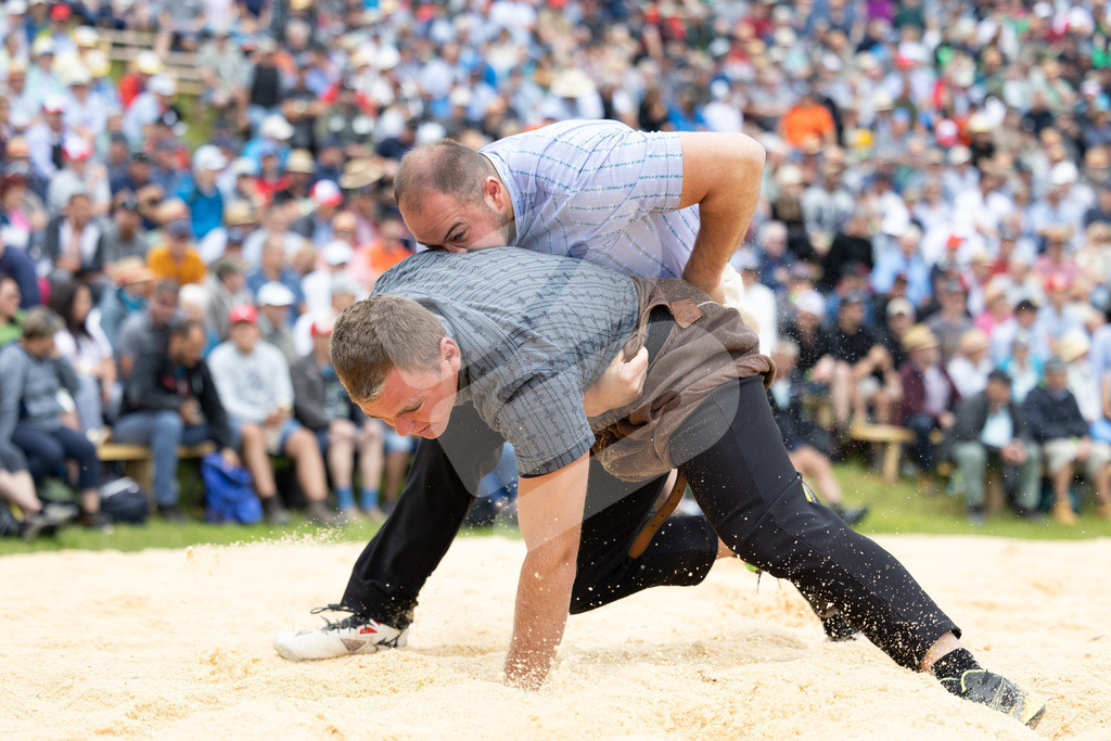 Rigi2025_1669 | Die Schwinger des Schwyzer Kantonalen Schwingerverbandes: Fotos, die Dynamik und Leidenschaft festhalten, sowie emotionale Momente aus dem traditionellen Schwingsport zeigen. - Realisiert mit Pictrs.com