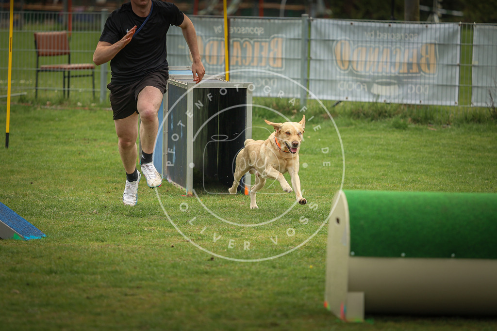 Pfotenfotografie_0L8A1625 | Hundefotografie, Tierfotograf, Pfotenfotografie, Fotoshooting Hund, Hunde Portrait, Hundesport, Hundeportraits, Heideshooting, Hunde, Sportfotograf, Hundefotograf, Turnierhundsport, THS,  - Realisiert mit Pictrs.com