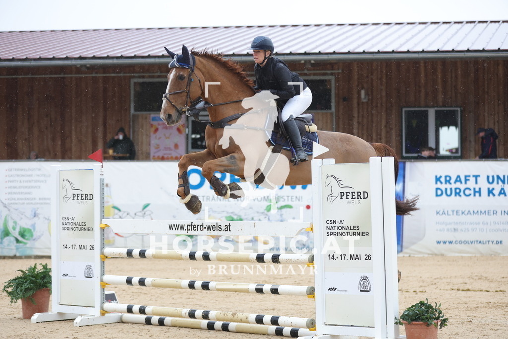0P6A9830 | Willkommen bei Brunnmayr - Design & Fotografie – Ihrem Spezialisten für Reitturniere und Pferdeveranstaltungen in Oberösterreich, Salzburg und Bayern! Seit über 17 Jahren sind wir leidenschaftlich dabei.