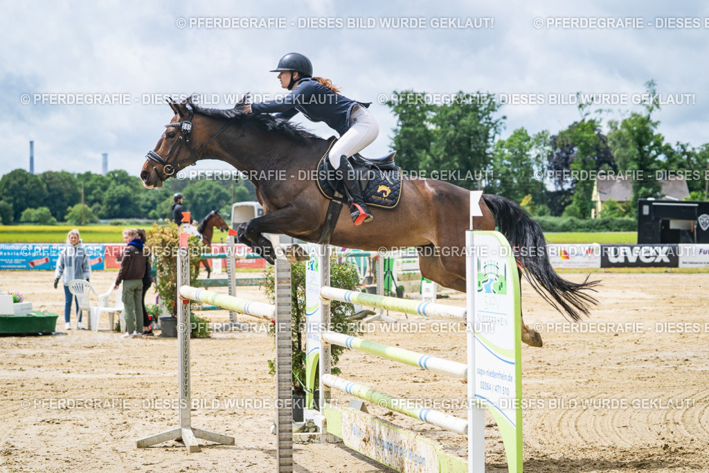 DSC04512 | Pferdegrafie