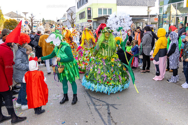 Faschingsumzug Feldkirchen | Bildershop von pixelworld.at - Realisiert mit Pictrs.com