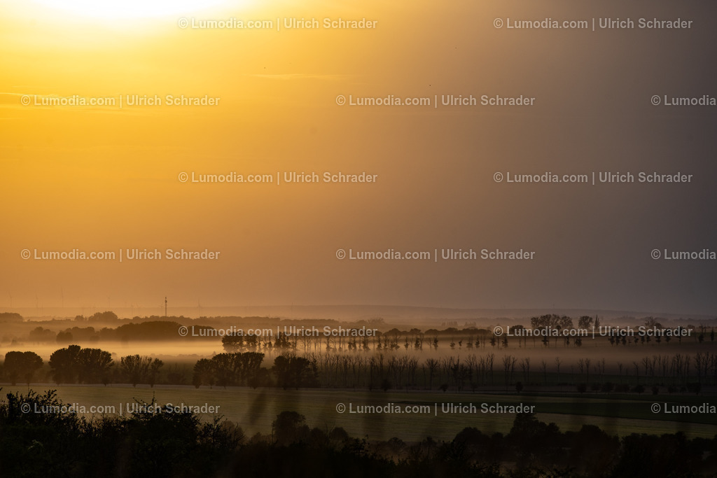 10049-12996 - Sonnenaufgang | Stockfoto und Bilderpool mit Bildmaterial aus Deutschland, dem Harz, Halberstadt, Quedlinburg, Wernigerode und weltweit. Qualitativ hochwertige und professionelle Fotos anschauen und kaufen. - Realisiert mit Pictrs.com
