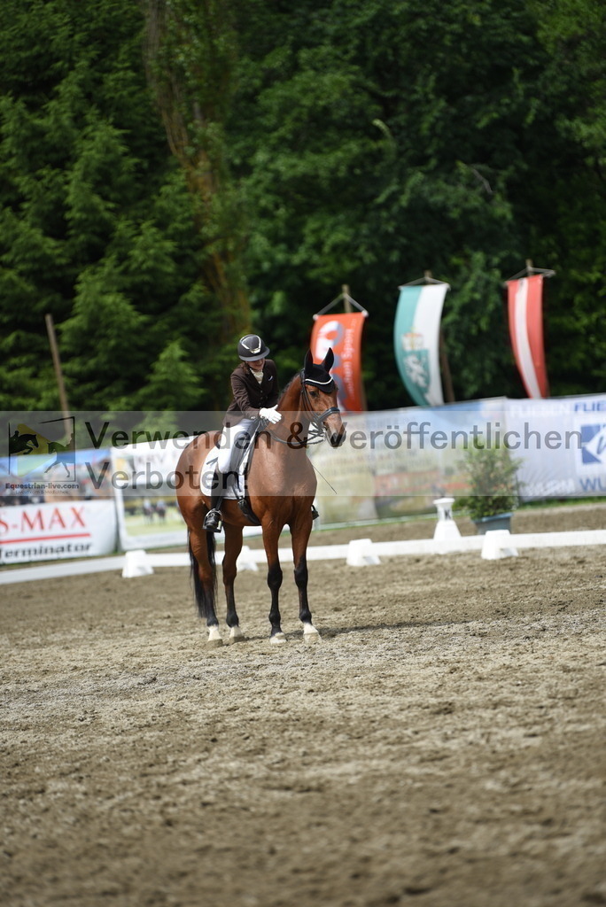 DSC_0925 | equestrian-live-com