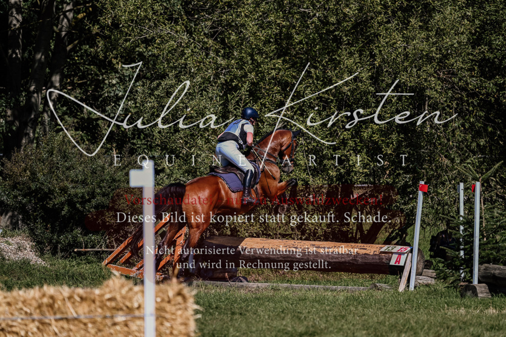 DSC_1999 | Pferde- und Turnierfotografie in Westsachsen. Pferdeportraits, Auftragszeichnungen und intuitive Kunst.