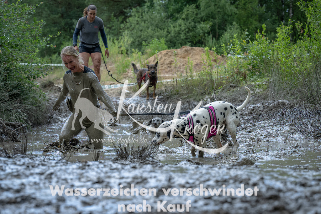 1155_ZZ93595 | kk-dogfotos