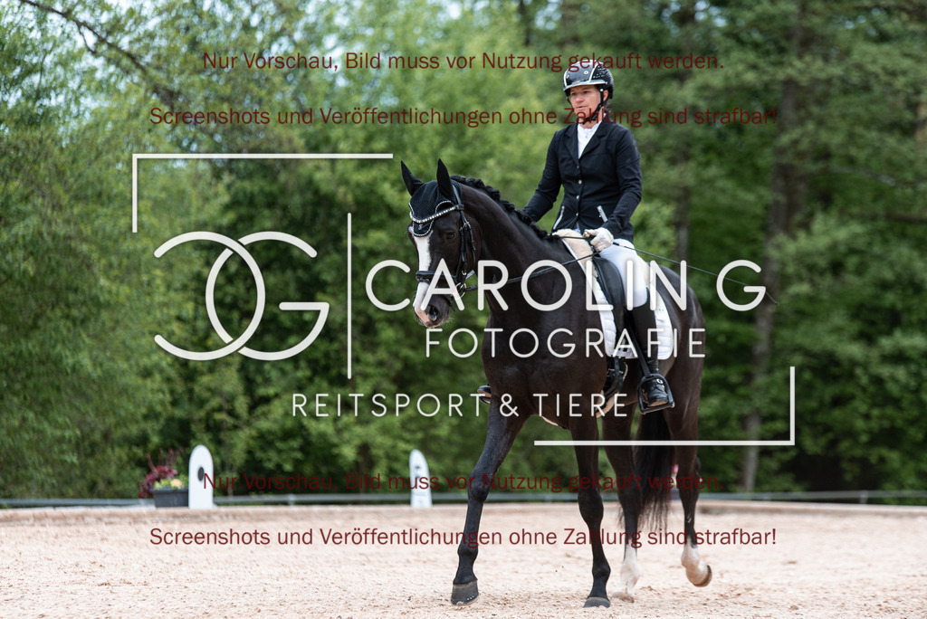 DSC_6737 | Turnierfotografin Carolin Gieschke,Reitsport Turnierfotografie Carolin G Fotografie | Turnierfotos aus Kirchheim/Teck, Esslingen, Stuttgart und dem Bodenseekreis