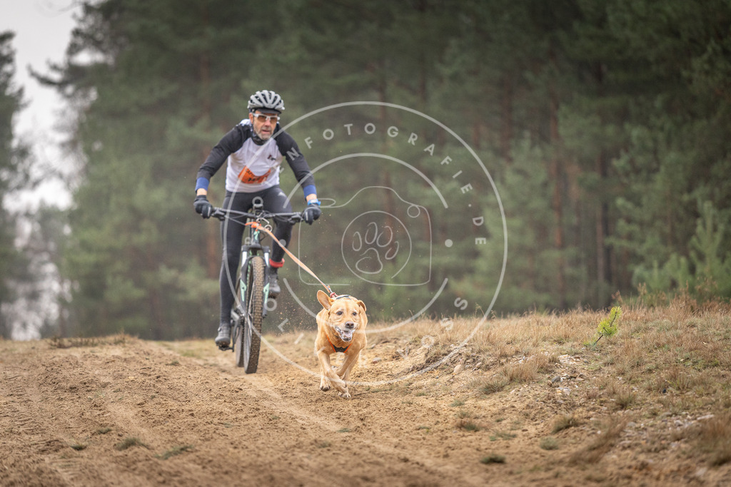 Pfotenfotografie_DV3A3978 | Hundefotografie, Tierfotograf, Pfotenfotografie, Fotoshooting Hund, Hunde Portrait, Hundesport, Hundeportraits, Heideshooting, Hunde, Sportfotograf, Hundefotograf, Turnierhundsport, THS,  - Realisiert mit Pictrs.com